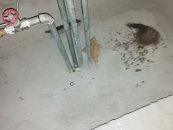 梅河口卫生间测漏水价格明细